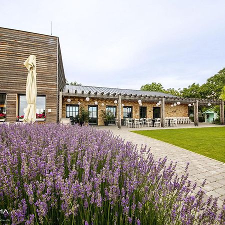 Panorama Birtok - Wellness Panzio, Konferencia Es Rendezvenykoezpont Bed and Breakfast Győrújbarát Εξωτερικό φωτογραφία