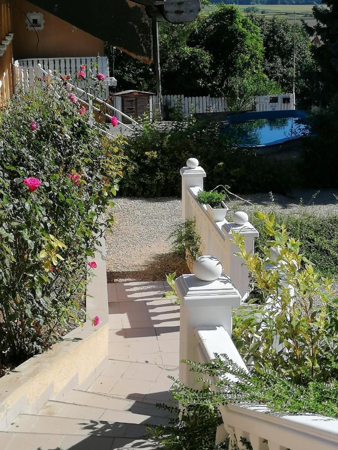 Panorama Birtok - Wellness Panzio, Konferencia Es Rendezvenykoezpont Bed and Breakfast Győrújbarát Εξωτερικό φωτογραφία