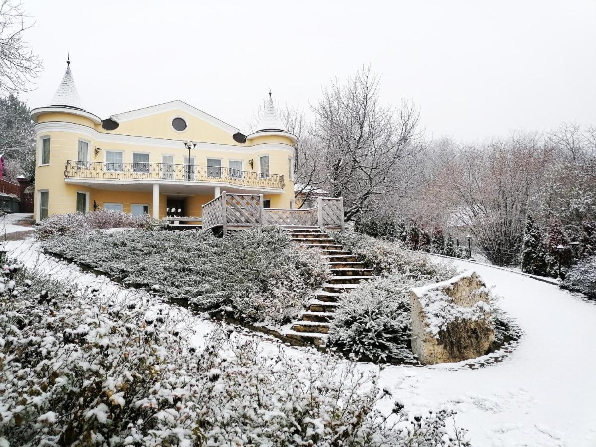 Panorama Birtok - Wellness Panzio, Konferencia Es Rendezvenykoezpont Bed and Breakfast Győrújbarát Εξωτερικό φωτογραφία