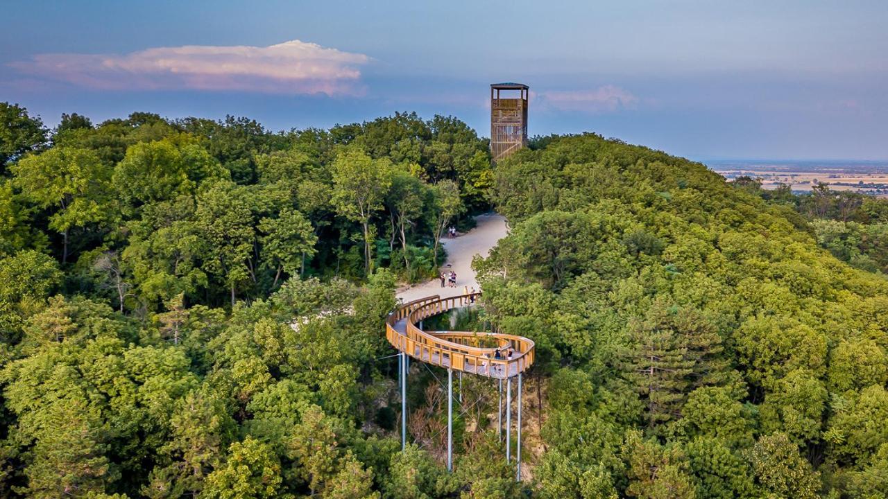 Panorama Birtok - Wellness Panzio, Konferencia Es Rendezvenykoezpont Bed and Breakfast Győrújbarát Εξωτερικό φωτογραφία